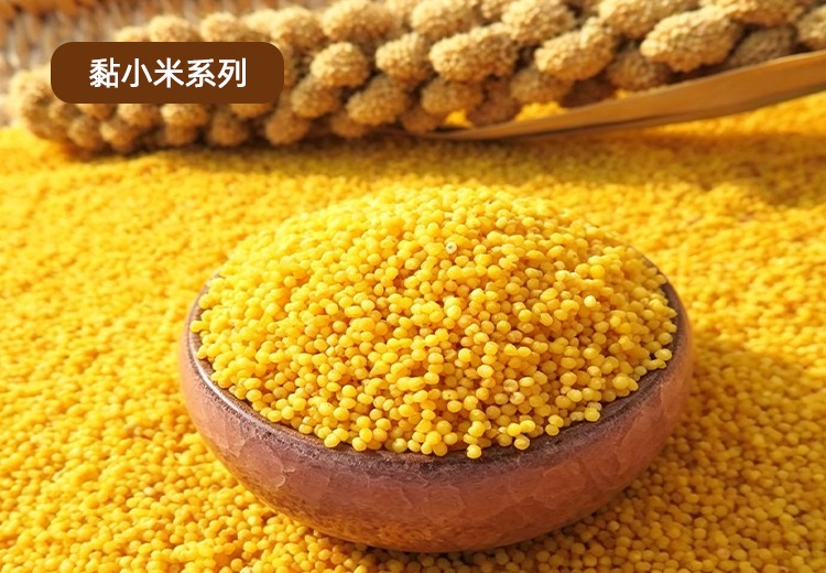 黏小米系列