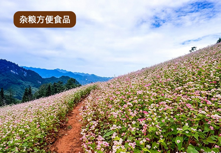 杂粮方便食品