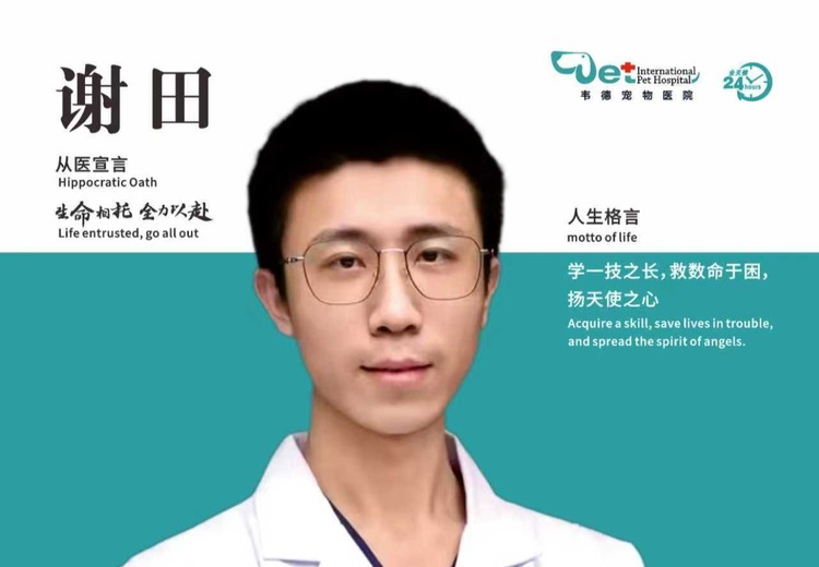 谢田医生