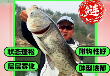 蚌埠市钓鱼王・破天鲢鳙