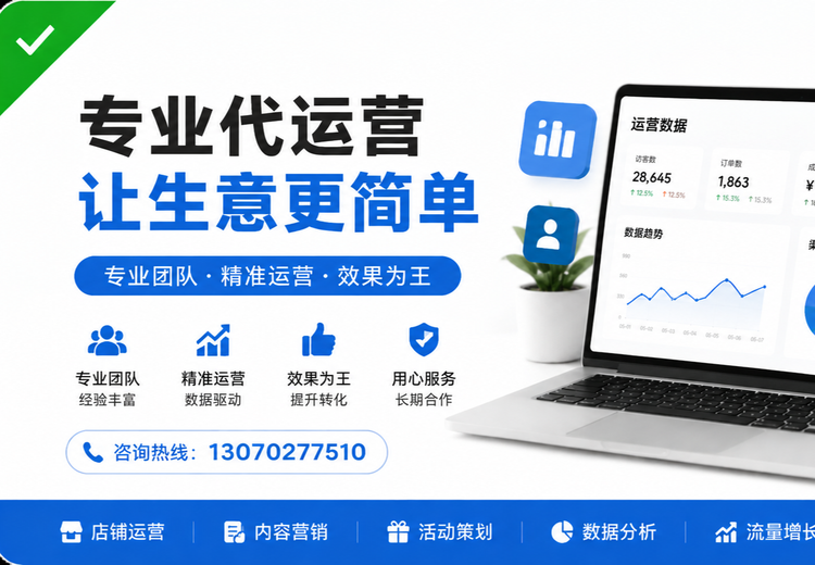 专业代运营