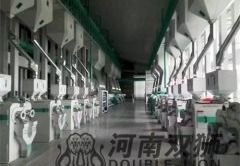 100-200吨成套碾米设备