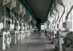 200吨大米加工生产线
