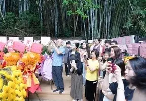 市场能抄我们的营销文案，但是抄不了我们的营销模式