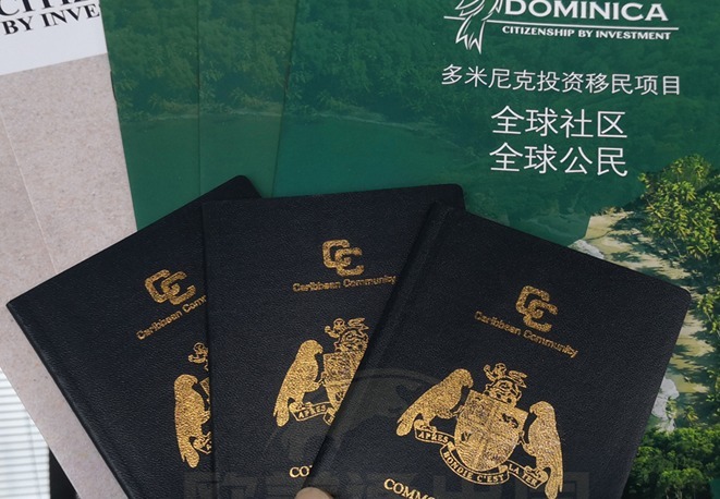 多米尼克移民中介