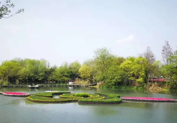 水生景观苗木