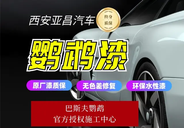 巴斯夫鹦鹉原厂钣喷修复