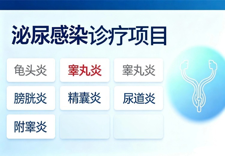 泌尿感染诊疗项目