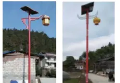 太阳能路灯