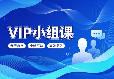 VIP小组课