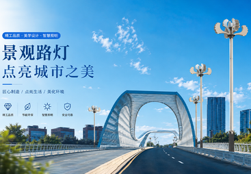 萍乡市景观路灯