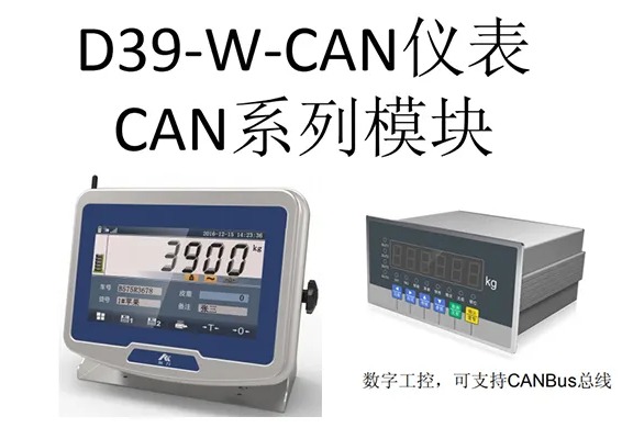 D39-W仪表