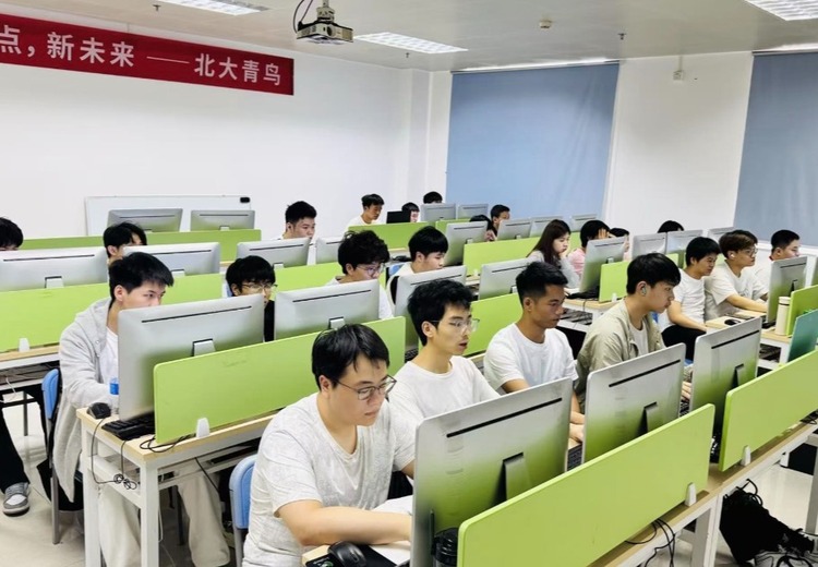 AI大模型应用开发