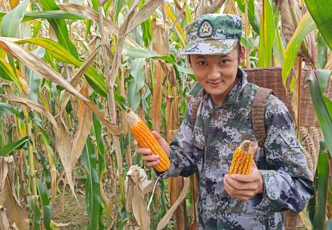 农耕实训
