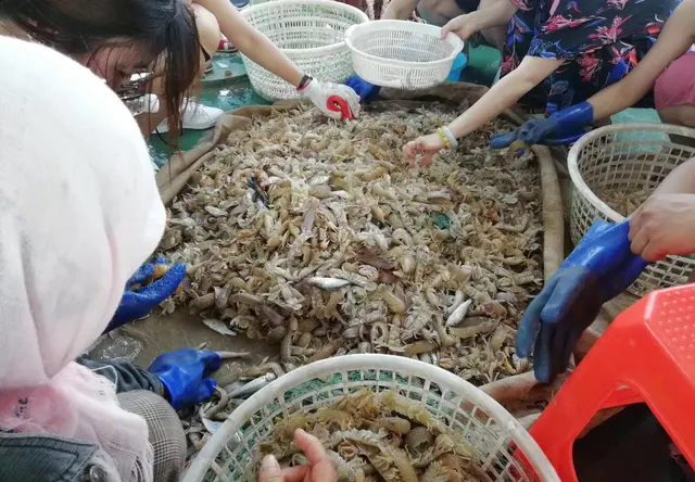 捕捞海鲜