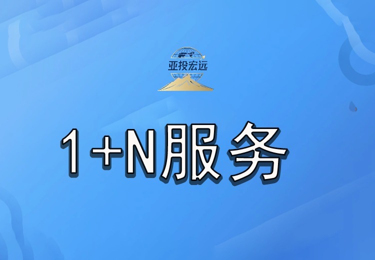 1+N服务