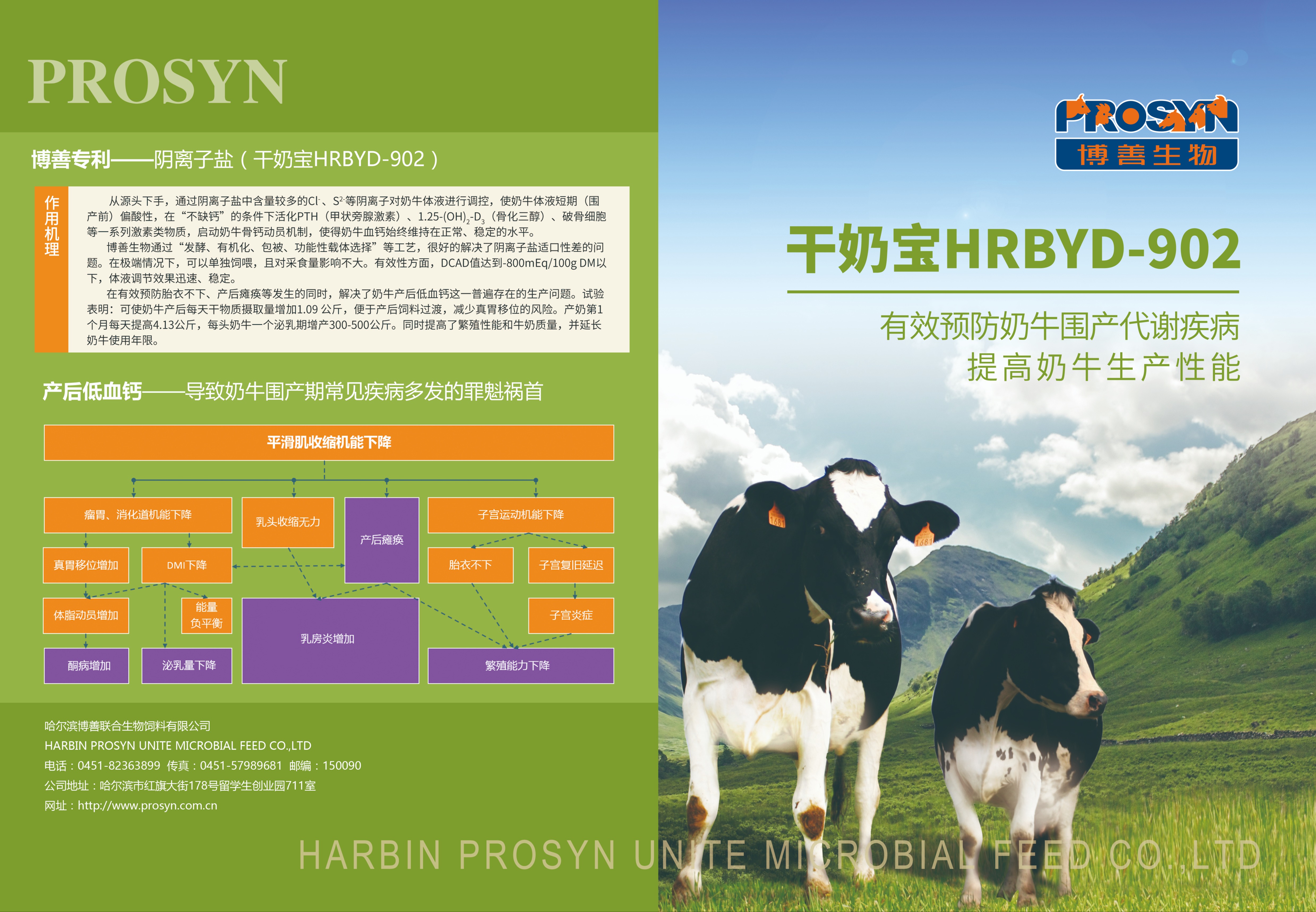 博善联合生物饲料