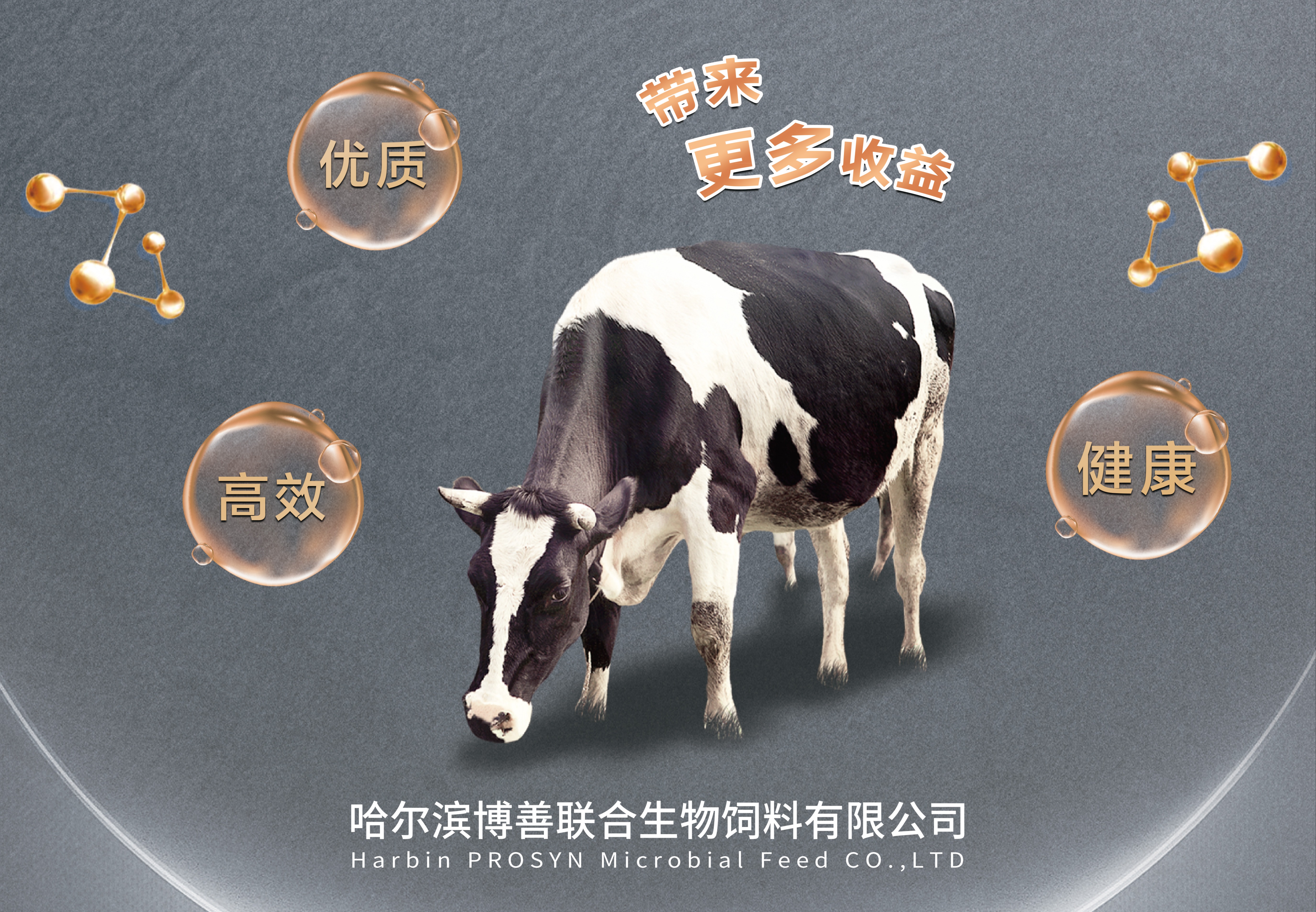 高生物量酵母培养物“黑酵宝”系列产品