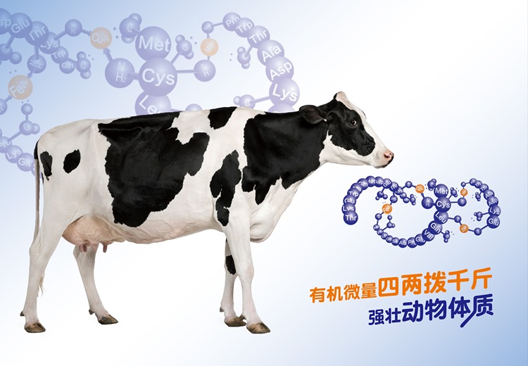 有机微量元素复合包“富矿宝COW-707”