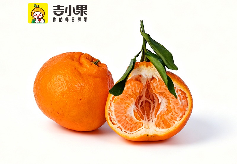 耙耙柑