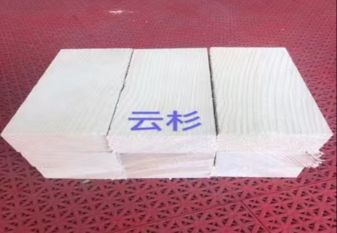 进口云杉