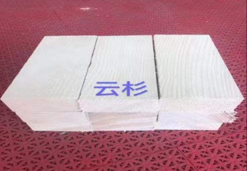 进口云杉