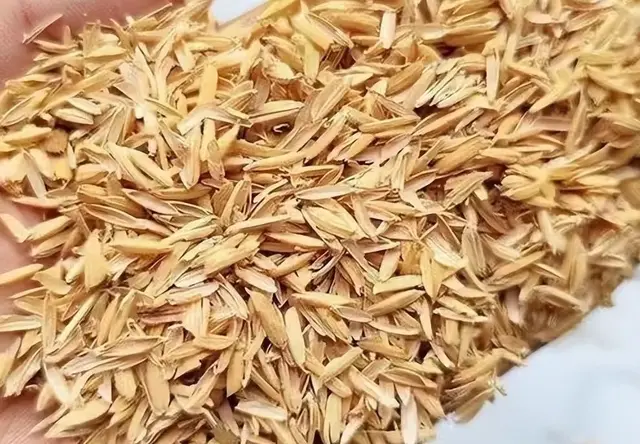 稻壳