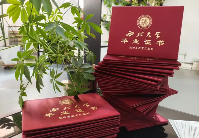 成人学历