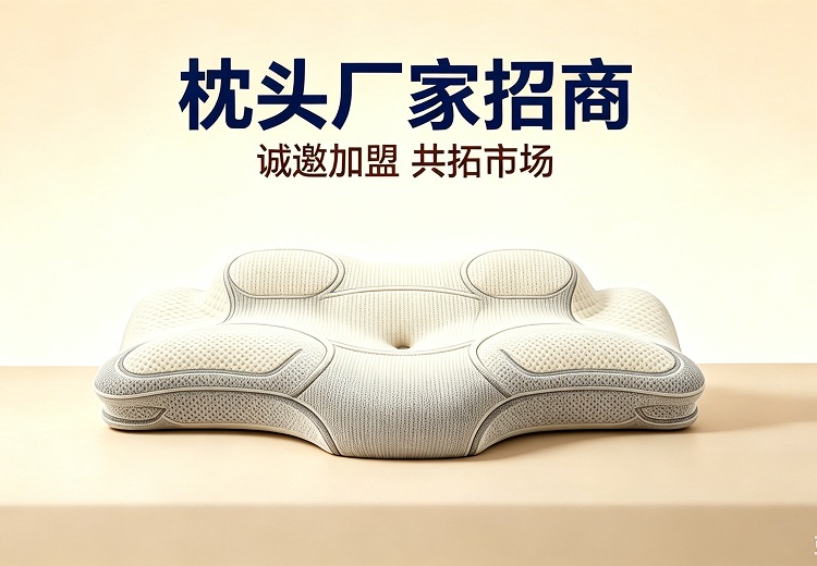 3D无级变枕头厂家招商