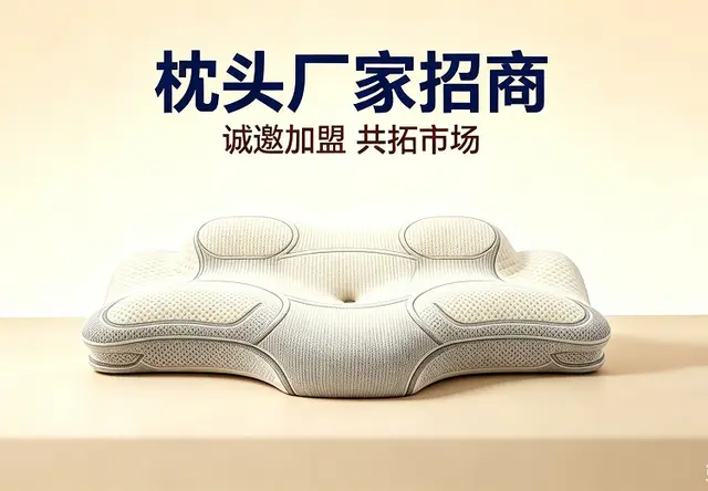 3D无级变枕头厂家招商