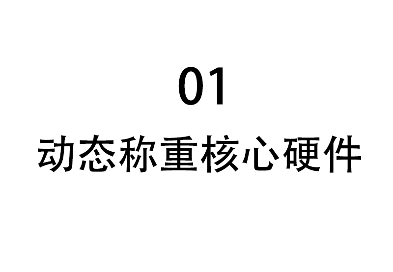动态称重核心硬件
