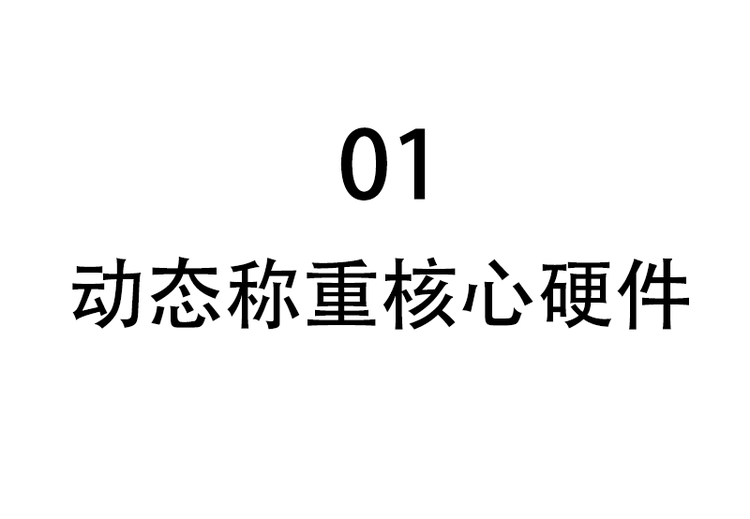 动态称重核心硬件