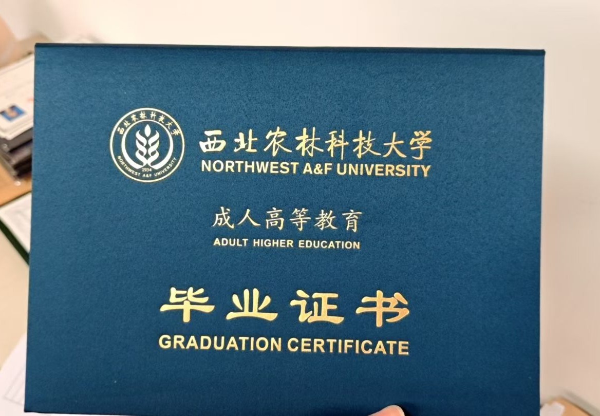 自学考试