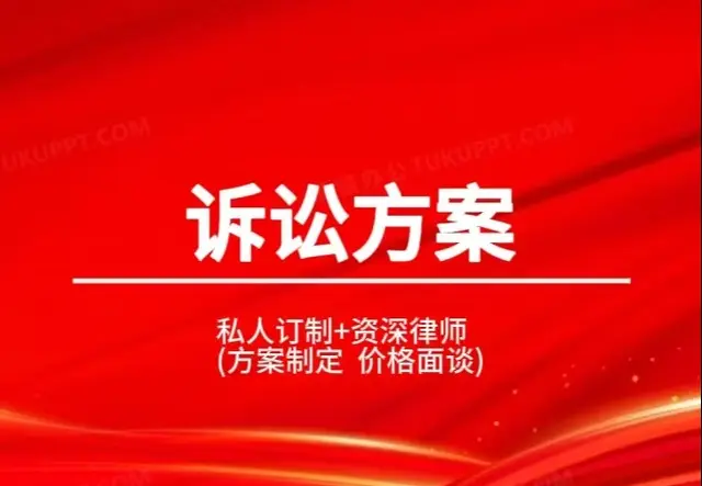 诉讼方案