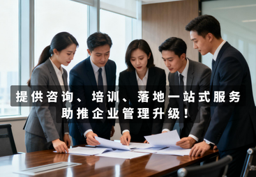 合伙人体系咨询案例