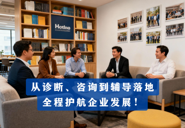 股权激励咨询案例