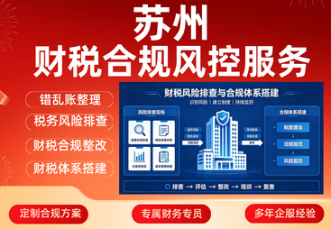 财务合规风控服务