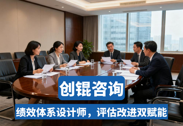 快速成长型企业绩效咨询案例