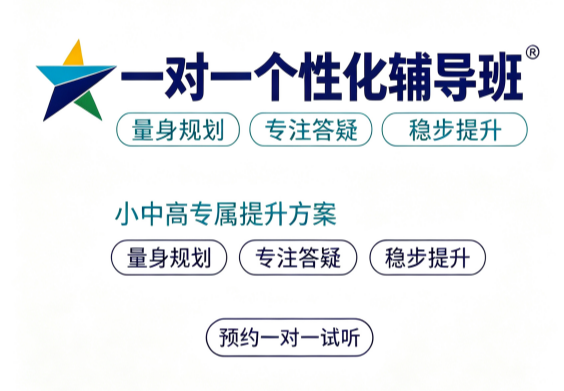 小中高一对一个性化定制辅导