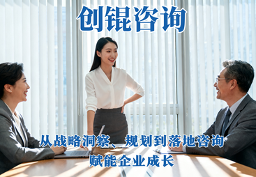科创企业战略咨询案例