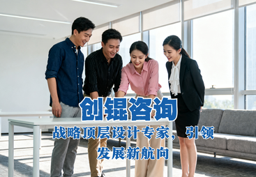 成长型企业战略咨询案例