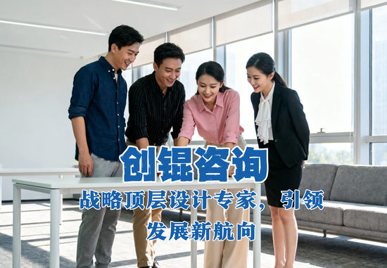 成长型企业战略咨询案例