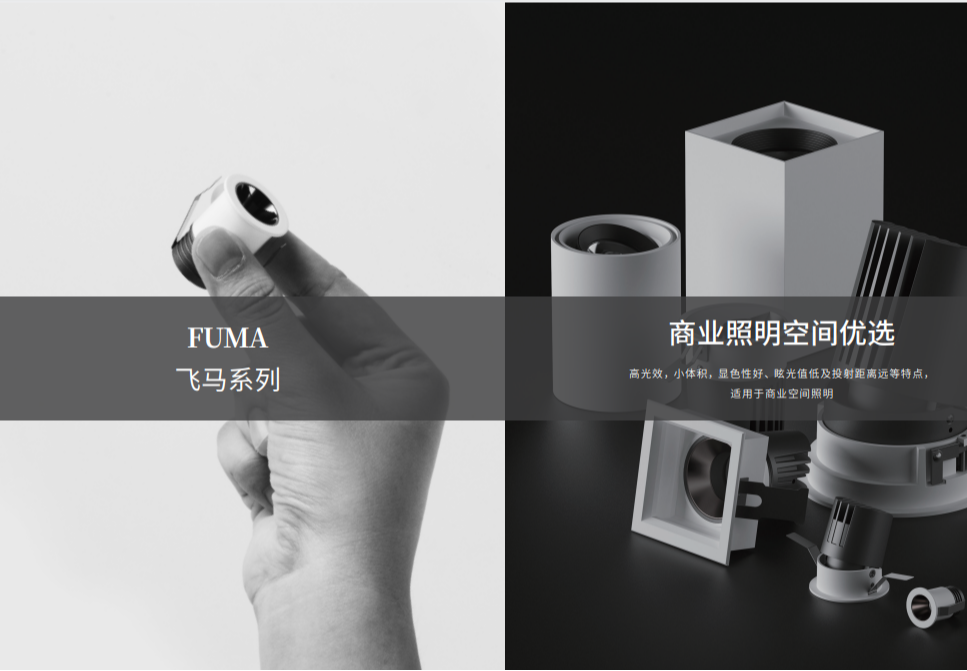 飞马75双效美妆射灯