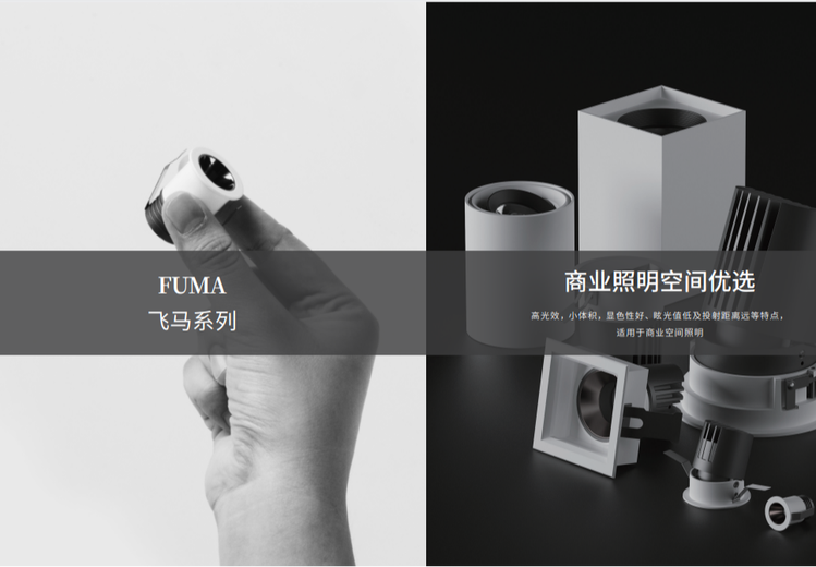 飞马75双效美妆射灯