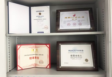 聚焦企业合规经营痛点，鲸算税务师事务所打造东北本土财税服务标杆