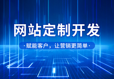 网站定制开发