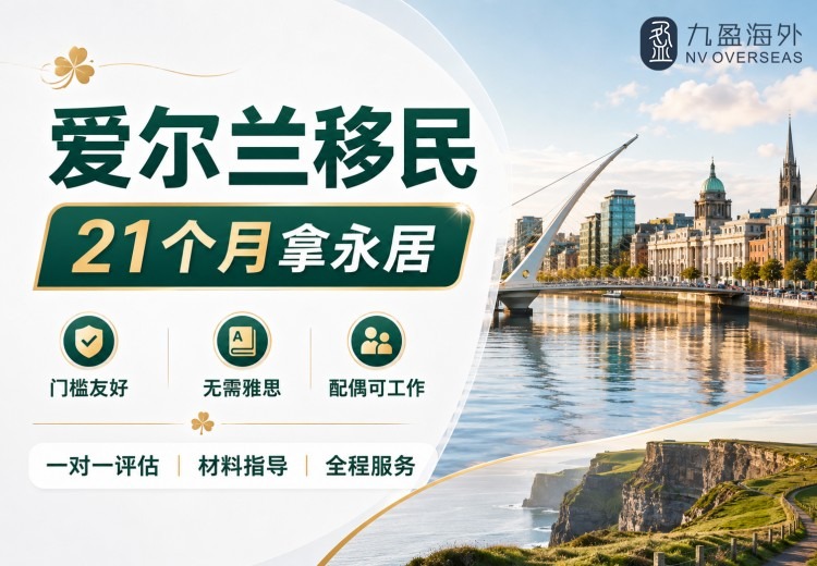 爱尔兰关键技能签