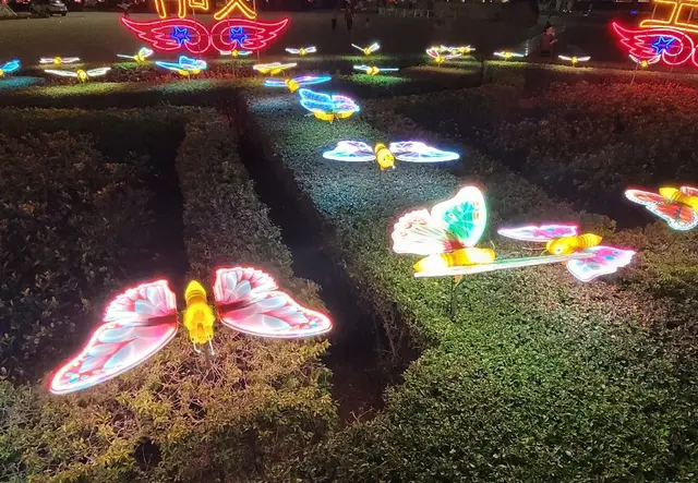 户外造型灯-大蝴蝶