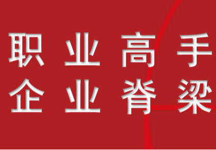 职业高手