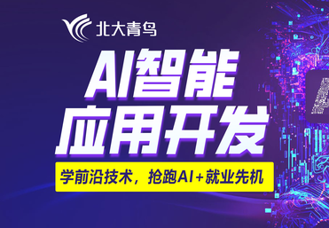 AI大模型应用开发